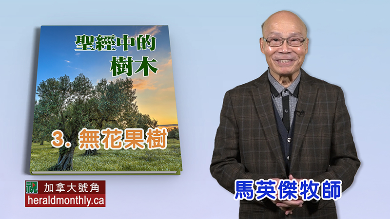 《聖經》中的樹木：無花果樹